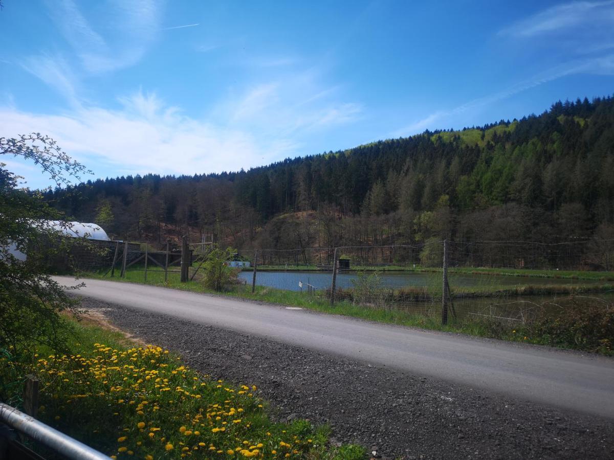 Ferienhaus Salmtal Himmerod Grosslittgen Экстерьер фото
