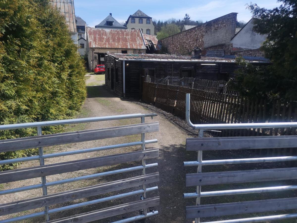 Ferienhaus Salmtal Himmerod Grosslittgen Экстерьер фото
