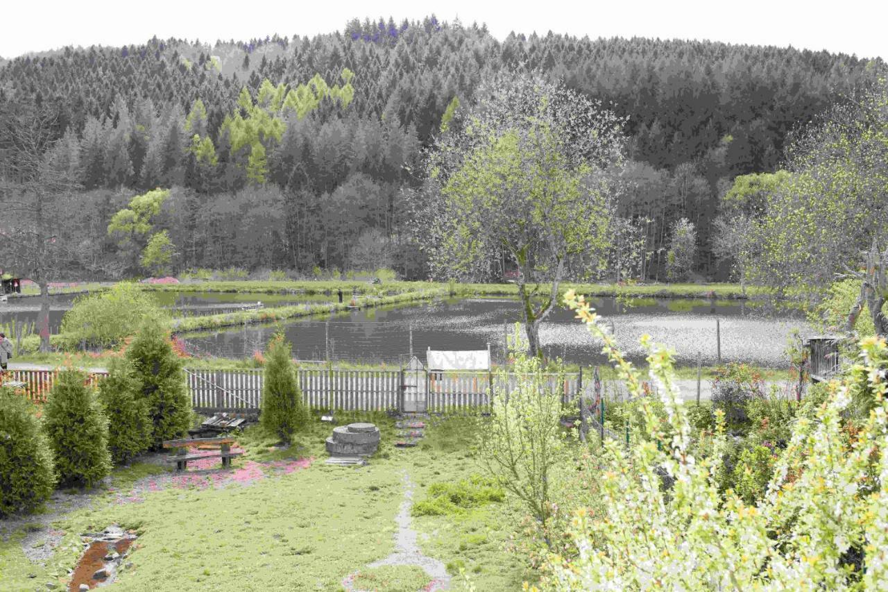 Ferienhaus Salmtal Himmerod Grosslittgen Экстерьер фото